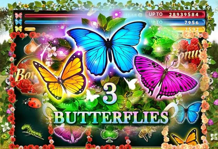 Erster Supabets Casino Bonus Promo-Code für Neukunden.